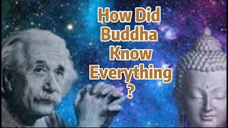 How Did Buddha Know About the Truth Buddhism amp Science [upl. by Ennaihs586]