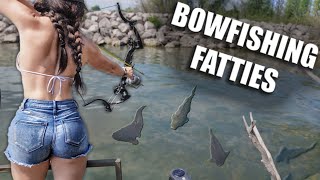 BOW FISHING CLEAR WATER FOR FATTIES  Bowmar Bowhunting [upl. by Wolsniw]