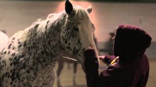 What is Equine Assisted Psychotherapy [upl. by Amanda]