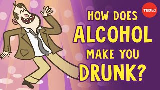 How does alcohol make you drunk  Judy Grisel [upl. by Lananna]