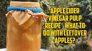 What To Do With Leftover Apple Pulp After Making Cider in India Homemade ACV Recipe [upl. by Camellia]