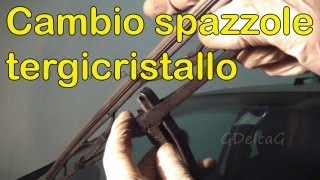 Sostituzione spazzole tergicristallo auto [upl. by Evania274]