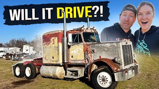 Will it DRIVE Our 1984 359 Peterbilt REVIVAL [upl. by Pepe646]