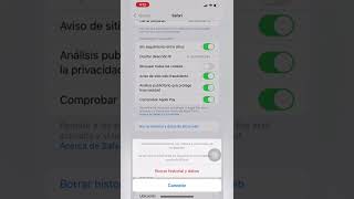 Como borrar caché historial y cookies en tu iPhone iPad o iPod touch [upl. by Dietz]