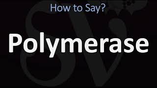 How to Pronounce Polymerase CORRECTLY [upl. by Isador208]