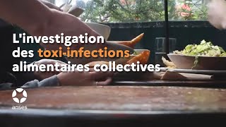 Linvestigation des toxiinfections alimentaires collectives [upl. by Htedirem277]