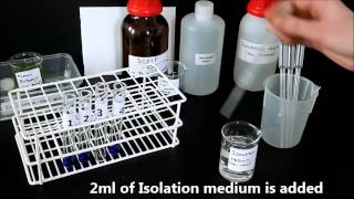 Photosynthesis in chloroplasts Hill Reaction [upl. by Eyeleen]