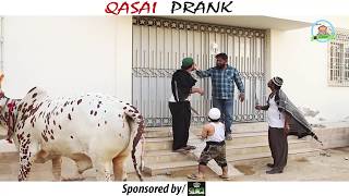 BAKRA EID SPECIAL  QASAI PRANK By Nadir Ali In  P4 Pakao  2017 [upl. by Ahsieka]