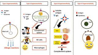 How Can I Avoid Pollen Allergy Symptoms [upl. by Artenra]