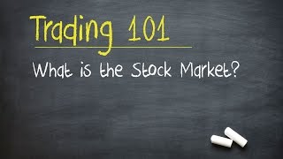 Trading 101 What is the Stock Market [upl. by Trow505]