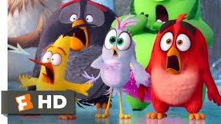 The Angry Birds Movie 2 2019  Lava Ball Eruption Scene 910  Movieclips [upl. by Chaudoin529]