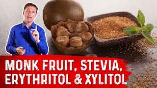 Artificial Sweeteners Monk Fruit Stevia Erythritol amp Xylitol – Dr Berg [upl. by Maurits]