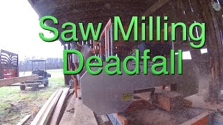 Sawmilling deadfall into valuable lumber FarmCraft101 [upl. by Ariadne714]