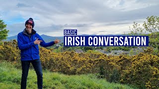 Complete Basic Conversation in Irish [upl. by Plafker]