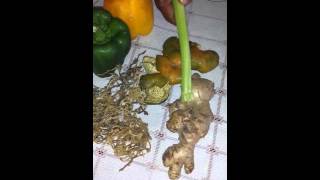 AntiMucus Diet 7 Foods That Flush Mucus From Your Body [upl. by Rebeca]