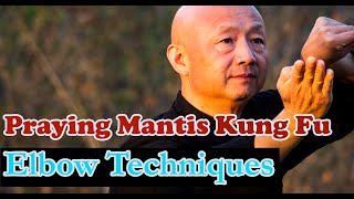 Kung Fu training 2021 Praying Mantis Kung Fu – Elbow Technique [upl. by Pelpel590]