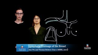 Lymphatic Drainage of the Breast [upl. by Territus202]