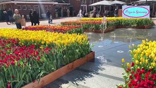 Beautiful Flowers at McArthurGlen Designer Outlet at Roermond Netherlands [upl. by Cumings]