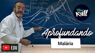 Aprofundando  Malária [upl. by Atinuahs520]