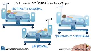 Posiciones Anatómicas [upl. by Zuliram712]