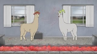 Llamas with Hats 6 [upl. by Amando397]