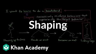 Operant conditioning Shaping  Behavior  MCAT  Khan Academy [upl. by Ayenet]