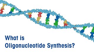 What is Oligonucleotide Synthesis [upl. by Nekcerb576]