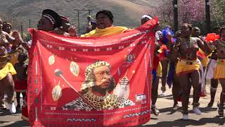 ZULU MAIDENS PMB TRADITIONAL DANCE [upl. by Mackay256]