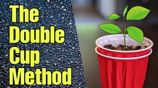 The Double Cup Method to Start Seeds [upl. by Hoover]