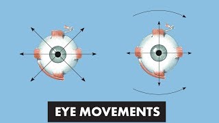 Eye Movements  Anatomical Movements vs Cardinal Positions of Gaze  MEDZCOOL [upl. by Odama952]