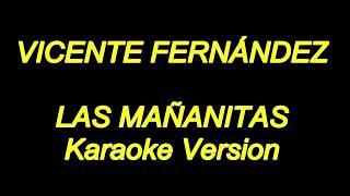 Vicente fernandez  Las Mañanitas Karaoke Lyrics NUEVO [upl. by Aihtnamas]