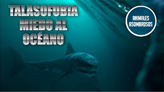 ¿Tienes miedo al océano test de talasofobia [upl. by Aicelav785]