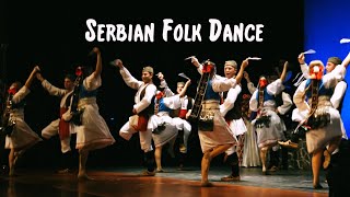 Serbian Folk Dance  The Tamburitzans [upl. by Anuaik]