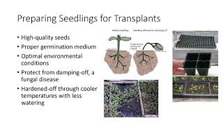 Seed Propagation [upl. by Aicenra]