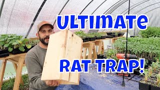 No More Rats Easy Homemade Rat Trap [upl. by Bailey]