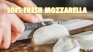 30 Minute Homemade Fresh Mozzarella Cheese [upl. by Cynthy]