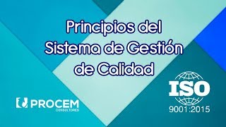 Principios del Sistema de Gestión de Calidad [upl. by Thirza]