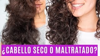 TRATAMIENTO PARA CABELLO SECO O MALTRATADO Fabi Ortiz [upl. by Alinna]