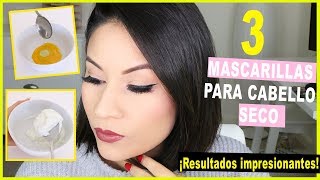 3 TRATAMIENTOS CASEROS PARA EL CABELLO SECO OPACO Y MALTRATADO 9 ¡IMPRESIONANTES RESULTADOS [upl. by Bernette508]