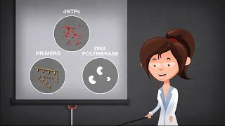 Basics of PCR [upl. by Reynold]