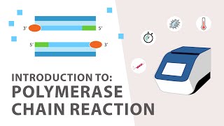 1 PCR Polymerase Chain Reaction Tutorial  An Introduction [upl. by Euphemie]