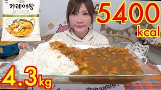 【MUKBANG】 The Queens Curry Korean Simple Cheese amp Coconuts Curry 43Kg About 5400kcalUse CC [upl. by Luciano]