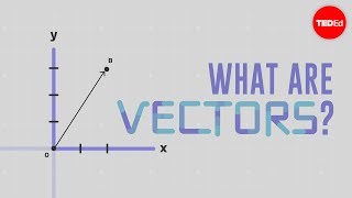 What is a vector  David Huynh [upl. by Neyrb]