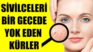 SİVİLCELERİ BİR GECEDE YOK EDEN KÜRLER [upl. by Ecirad]