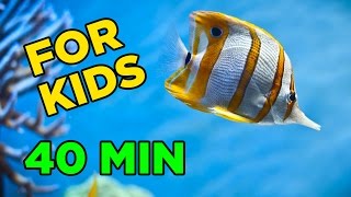 Fun Underwater Adventure for KIDS 40 Minutes [upl. by Aural]