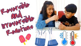 Reversible and Irreversible Reactions  Simple science experiments to explain the difference [upl. by Lezley]