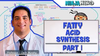 Metabolism  Fatty Acid Synthesis Part 1 [upl. by Nilsoj]