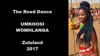 The Zulu Reed dance 2017 [upl. by Ane]