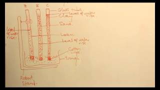 DEMONSTRATION OF SOIL CAPILLARITY [upl. by Selby]