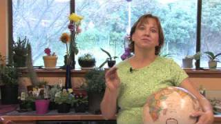 Flower Gardening Tips  How to Grow Moonflower [upl. by Leind]